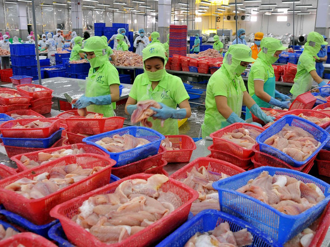 Panama sẽ thanh tra một số cơ sở thủy sản tại Việt Nam vào tháng Bảy ảnh 1