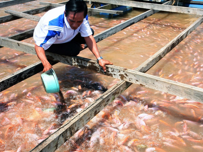 Sài Gòn Food yêu cầu xác minh lô hàng bị cảnh báo nhiễm kháng sinh ảnh 1