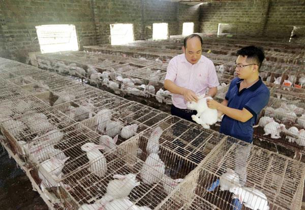 Chỉ thị 40 của Ban Bí thư: Quyết sách mang tính đột phá tại Ninh Bình ảnh 2