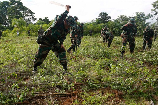 Bolivia phản đối báo cáo của Mỹ về đấu tranh chống ma túy ảnh 1