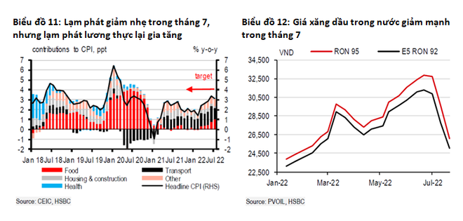 HSBC: Kinh tế Việt Nam thành công dù bức tranh bên ngoài 'kém sáng' ảnh 2