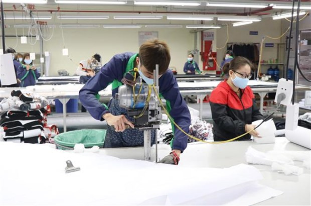 Hỗ trợ doanh nghiệp tận dụng EVFTA xuất khẩu sang Hà Lan ảnh 1