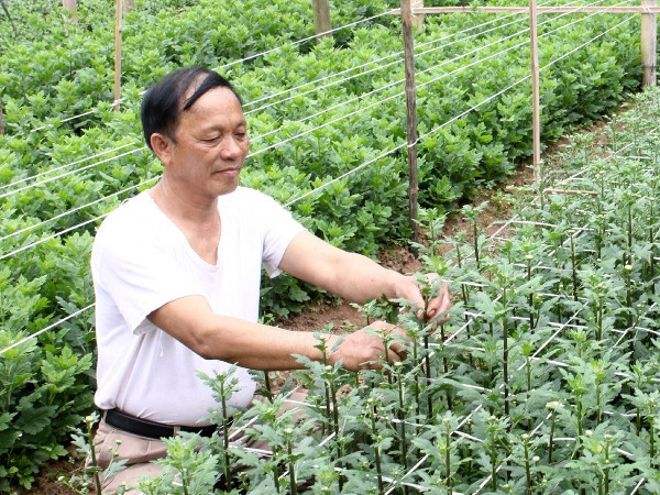 Ảnh minh họa. (Nguồn: TTXVN) Ưu đãi lãi suất cho nông nghiệp ứng dụng công nghệ cao ảnh 1