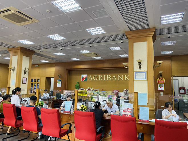 Agribank là một trong 4 ngân hàng đang được Ngân hàng Nhà nước trình Thủ tướng Chính phủ phương án tăng vốn điều lệ. (Ảnh: PV/Vietnam+) Ngân hàng Nhà nước trình phương án tăng vốn điều lệ cho Big 4 ảnh 2