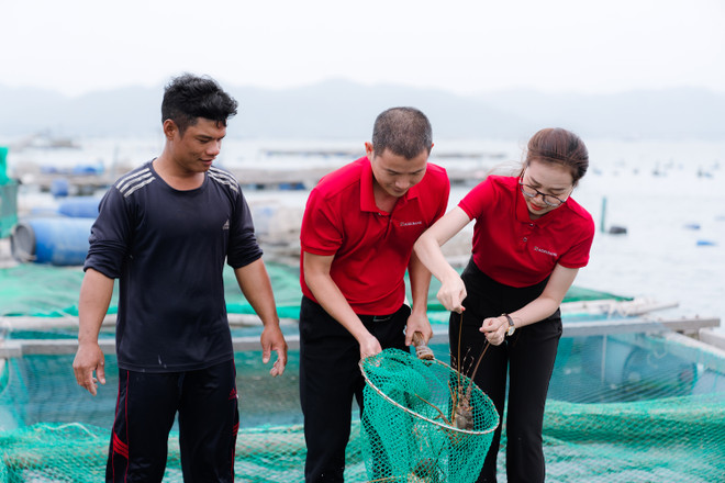 Gói tín dụng dành cho lâm, thủy sản đang được giải ngân rất hiệu quả. (Ảnh: Vietnam+) 374.11.jpg