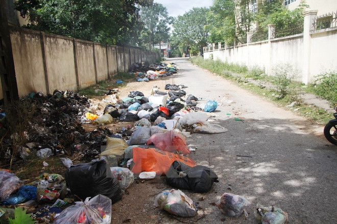 ADB hỗ trợ Đà Nẵng xử lý chất thải qua hình thức đối tác công tư ảnh 1