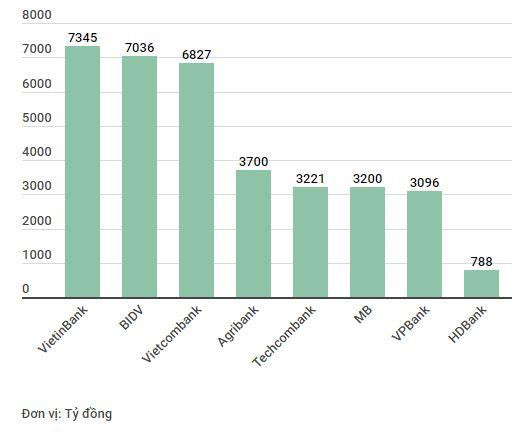 Cuộc rượt đuổi lợi nhuận ngân hàng: Sự trỗi dậy của những 'con hổ' mới ảnh 2