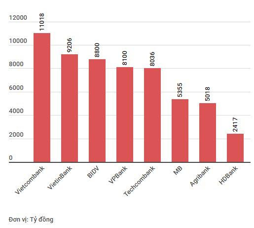 Cuộc rượt đuổi lợi nhuận ngân hàng: Sự trỗi dậy của những 'con hổ' mới ảnh 4