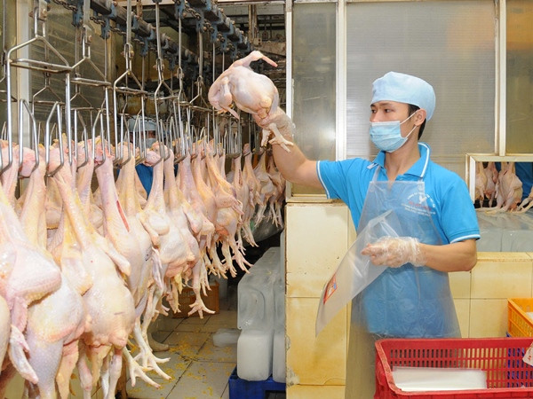 Nguồn cung thịt gia súc, gia cầm đủ để phục vụ nhu cầu dịp Tết ảnh 1