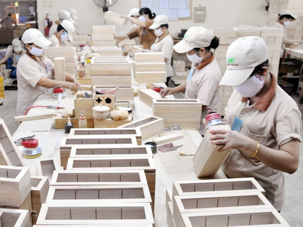 Năm 2014, tổng giá trị sản xuất lâm nghiệp đạt 24 nghìn tỷ đồng ảnh 1