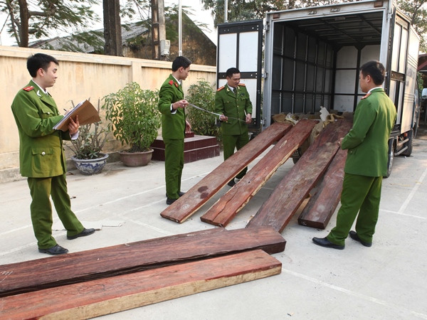 Yêu cầu xử lý nghiêm kẻ chở gỗ lậu đâm chết cán bộ kiểm lâm ảnh 1