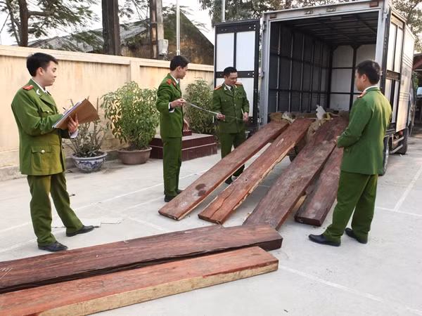 Yêu cầu xử lý nghiêm kẻ chở gỗ lậu đâm chết cán bộ kiểm lâm ảnh 1