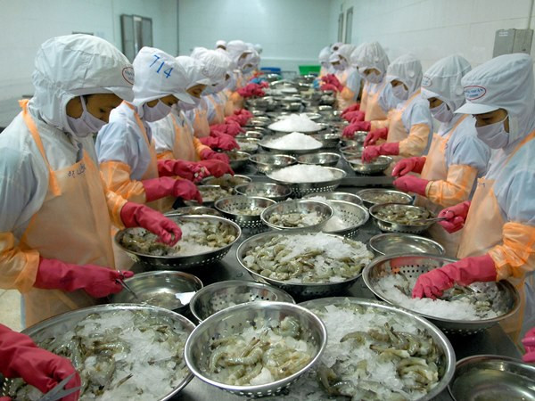 Sẽ kiểm tra đột xuất doanh nghiệp xuất khẩu thủy sản bị EU cảnh báo ảnh 1