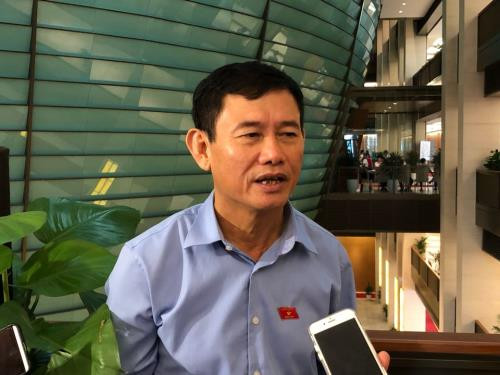 Đại biểu Quốc hội: Bộ trưởng Bộ Nông nghiệp trả lời thẳng vào vấn đề ảnh 1