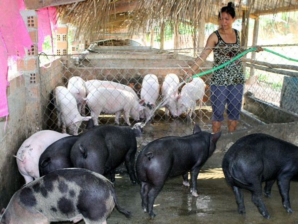 "Muốn giảm nghèo nhanh phải phân công đầu mối rõ ràng" ảnh 2