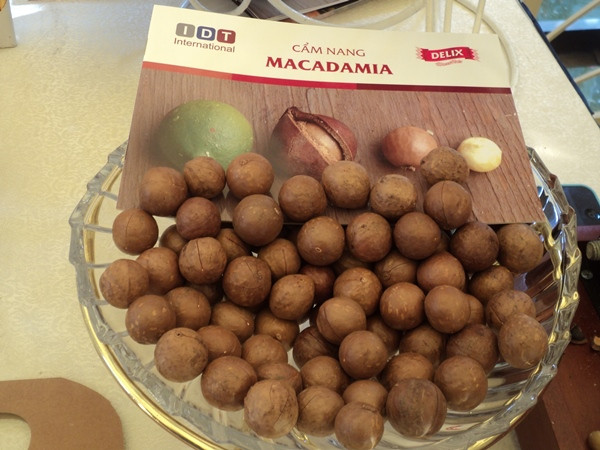 Chưa đủ căn cứ khoa học để phê duyệt quy hoạch cây mắcca ảnh 1