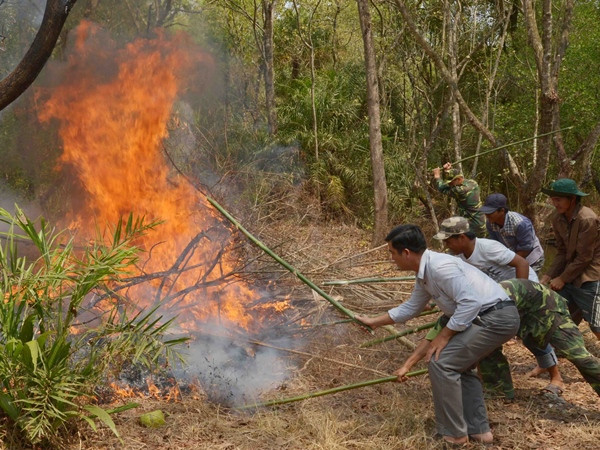 Nguy cơ cháy rừng ở nhiều địa phương tăng lên mức nguy hiểm ảnh 1