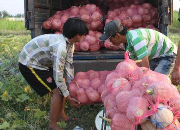 Tạo cơ chế hấp dẫn thu hút doanh nghiệp đầu tư vào nông nghiệp ảnh 1