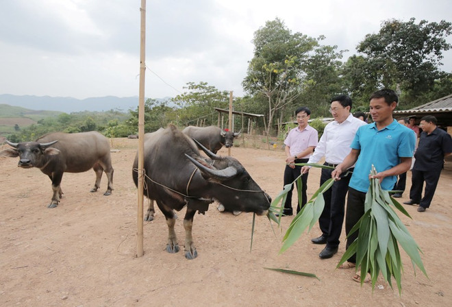 Tín dụng chính sách: Tiếp sức dân no ấm, gìn giữ phên dậu Tổ quốc ảnh 2