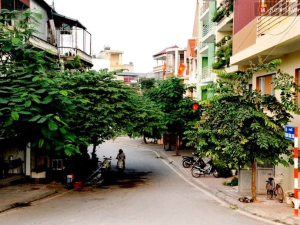 Một góc đường Trịnh Công Sơn, chụp từ dốc Âu Cơ. (Ảnh: BTC) Phố Trịnh Công Sơn ở Hà Nội: "Một con đường nhỏ trả lời cho tôi" ảnh 1