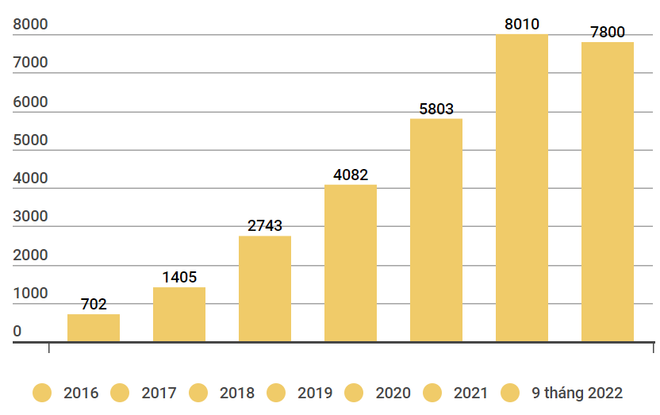 VIB: Lợi nhuận 9 tháng 7.800 tỷ đồng, xếp hạng cao nhất về an toàn vốn ảnh 2