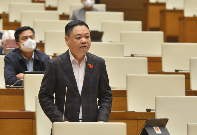 Đại biểu lo ngại chứng khoán, trái phiếu, xăng dầu tăng 'nóng' ảnh 1