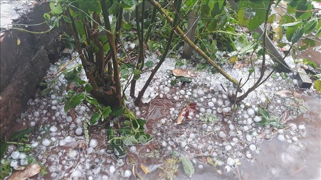 Mưa lớn ở vùng núi Bắc Bộ và Bắc Trung Bộ đề phòng lốc, sét, mưa đá ảnh 1