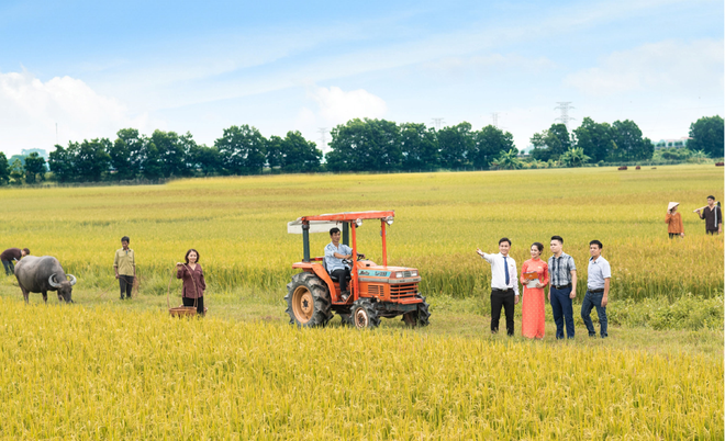 Lienvietpostbank: 15 năm tận tâm chinh phục khách hàng ảnh 1