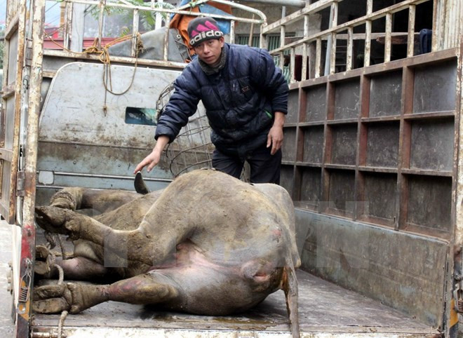 BIDV hỗ trợ 2,6 tỷ đồng cho 8 tỉnh bị thiệt hại do thiên tai ảnh 1