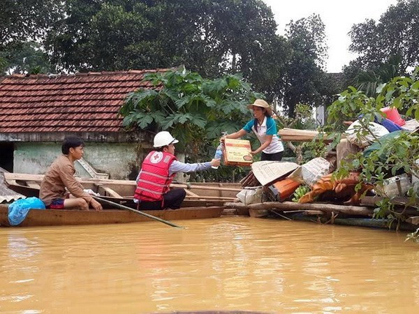 Ảnh minh họa. (Ảnh: Mỹ Bình/Vietnam+) Đảng Cộng sản Đức chung tay ủng hộ đồng bào miền Trung Việt Nam ảnh 1
