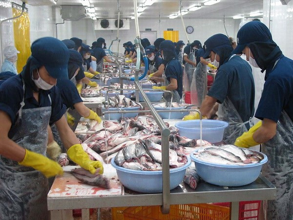Ảnh minh họa. (Nguồn: TTXVN) "Cần tính toán tác động của kết quả bầu cử Mỹ khi điều hành kinh tế" ảnh 1