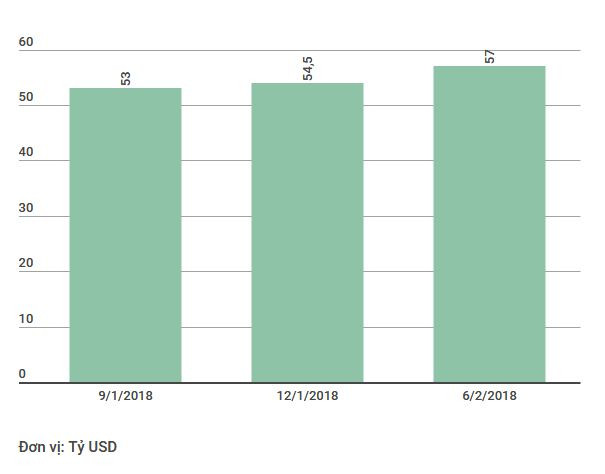 Thống đốc: Dự trữ ngoại hối đạt mức mới lên trên 57 tỷ USD ảnh 2