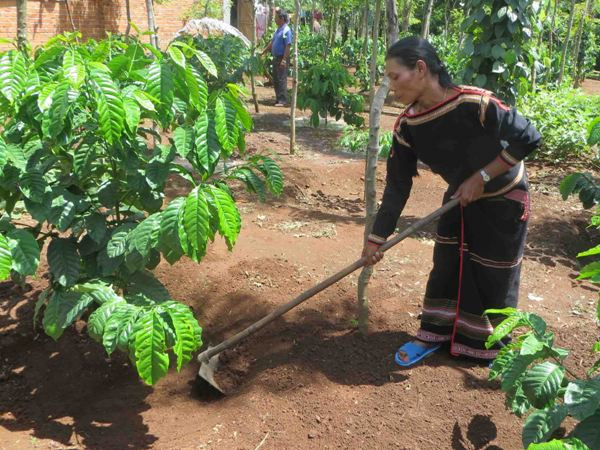 Người nghèo vùng dân tộc thiểu số được giảm một nửa lãi suất vay ảnh 1