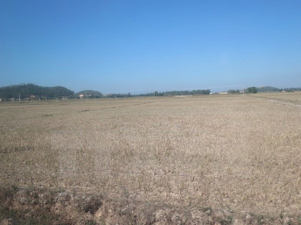 Việt Nam vay ADB 170 triệu USD cho dự án ứng phó biến đổi khí hậu ảnh 1