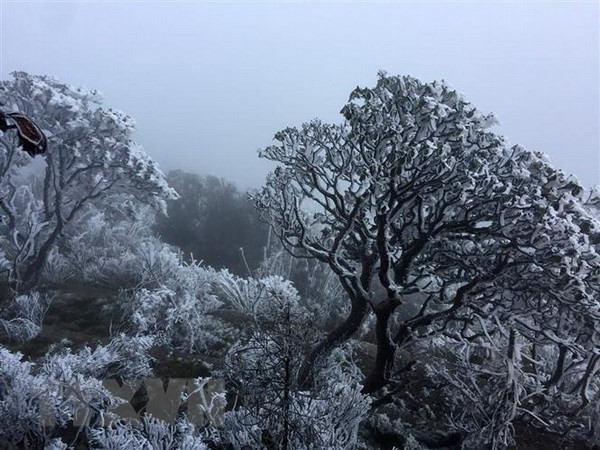 Bắc Bộ sáng sớm trời rét, Nam Bộ đề phòng thời tiết nguy hiểm ảnh 1