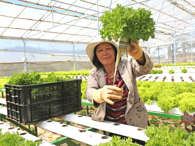 Kinh nghiệm làm giàu tiền tỷ của những người nông dân xuất sắc ảnh 1