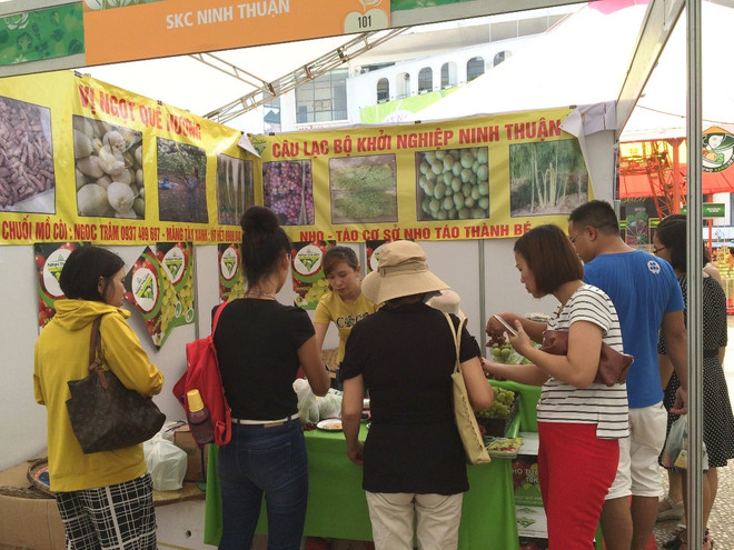Hội chợ “Thực phẩm-Nông sản sạch” thu hút người tiêu dùng Thủ đô ảnh 10