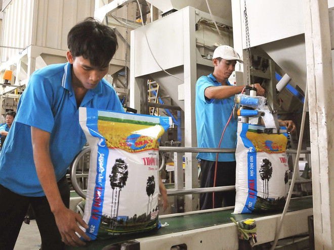 Chọn giống lúa thương hiệu quốc gia để tìm ra gạo Việt ngon ảnh 2