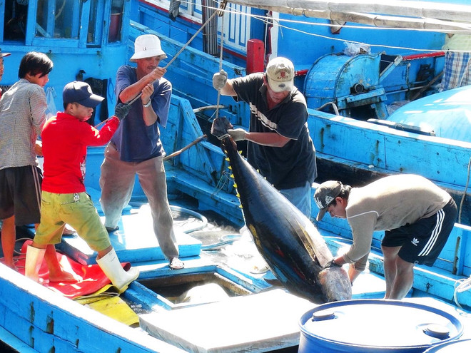 Kim ngạch xuất khẩu nông lâm thuỷ sản 10 tháng đạt 26,4 tỷ USD ảnh 1