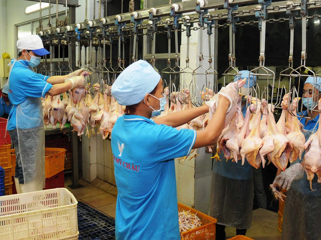 Đề xuất ban hành bộ tiêu chí chuẩn chất lượng an toàn thực phẩm ảnh 2