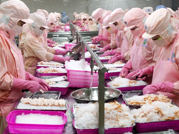 Mỹ công bố sơ bộ mức thuế chống bán phá giá với tôm Việt Nam ảnh 1