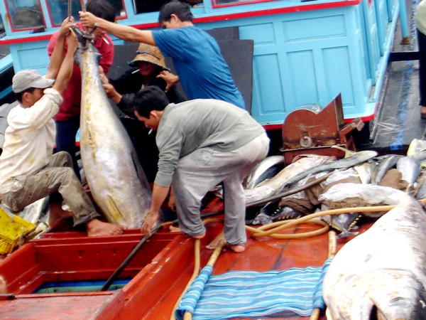 Sản lượng thủy sản tăng, ngư dân phấn khởi thu lãi đầu năm ảnh 1