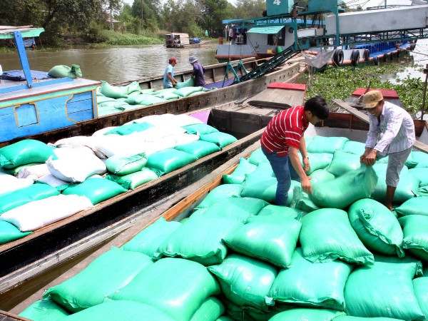 Thành lập đoàn kiểm tra liên ngành việc thu mua tạm trữ lúa, gạo ảnh 1