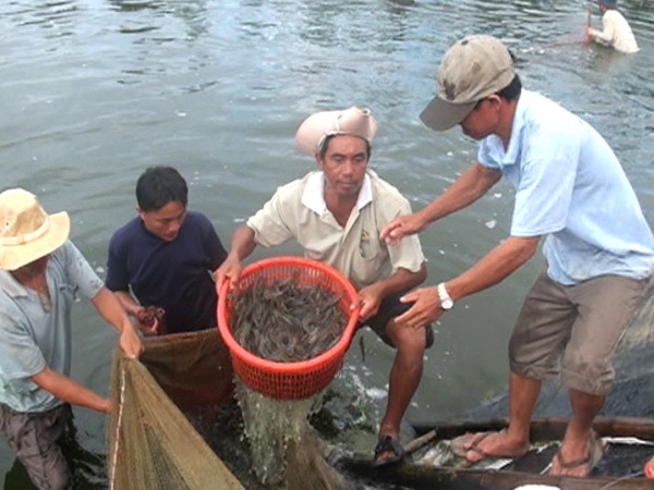Nhiều tỉnh thành chưa bố trí kinh phí phòng,chống dịch bệnh thủy sản ảnh 1