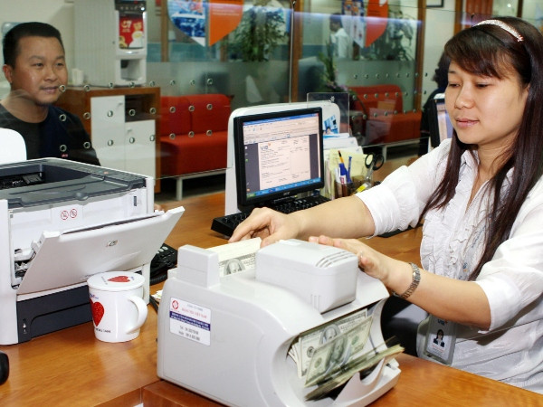 Thống đốc: Thị trường ngoại hối sẽ ổn định từ nay đến cuối năm ảnh 1