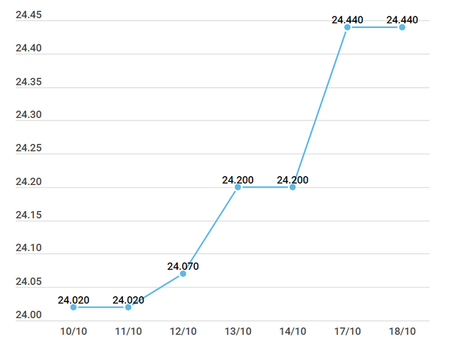 Điều chỉnh biên độ tỷ giá giao ngay: Cân bằng cung cầu thị trường ảnh 2