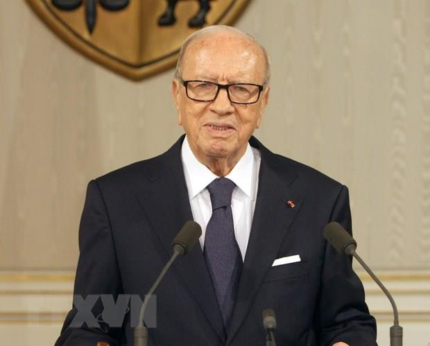 Tổng thống Tunisia Beji Caid Essebsi qua đời ở tuổi 92 ảnh 1
