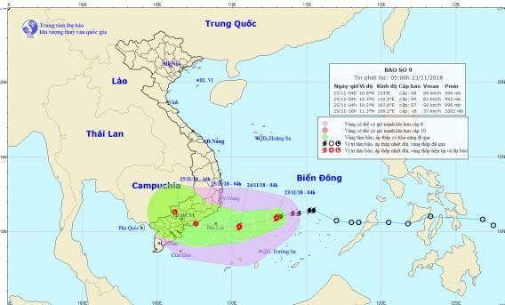 Cơn bão số 9 có khả năng mạnh thêm, gió giật lên đến cấp 12 ảnh 1