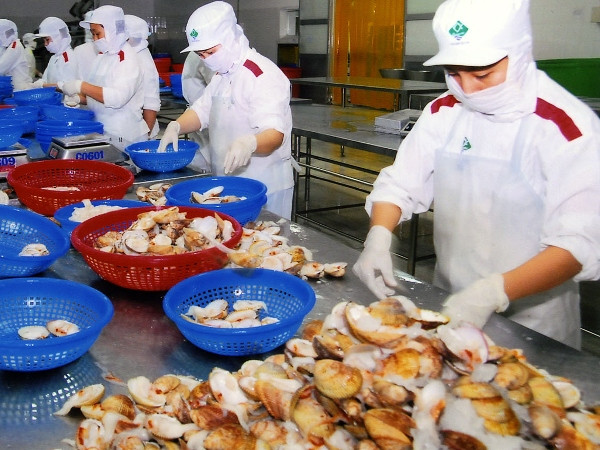 EU sẽ kiểm tra chất lượng nhuyễn thể hai mảnh vỏ ở Việt Nam ảnh 1