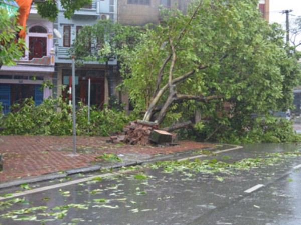 Siêu bão Rammasun đổ bộ khiến 4 người chết, 2 người mất tích ảnh 1